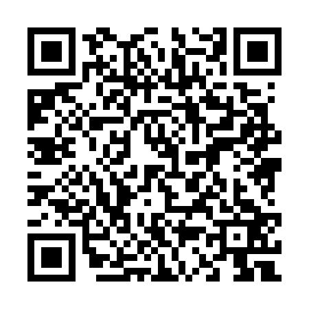 QR code for 6387239