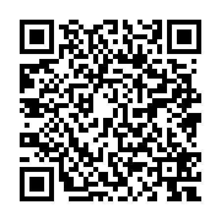 QR code for 6387299