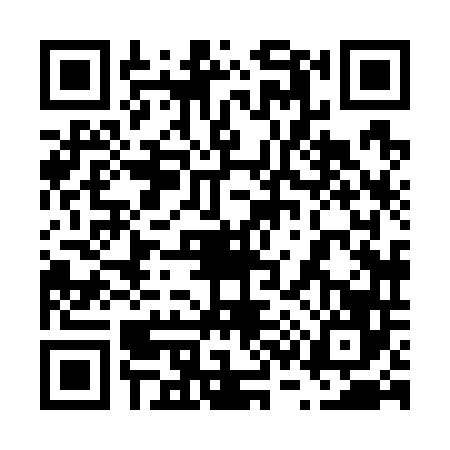 QR code for 6387460