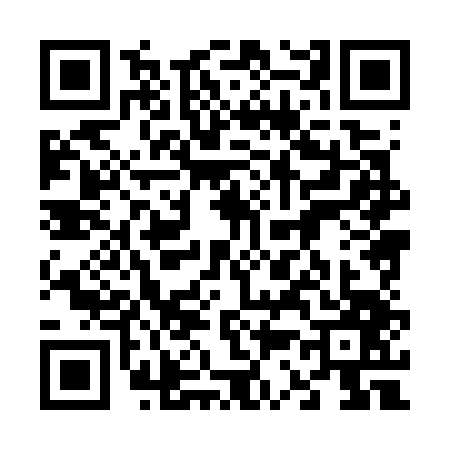 QR code for 6387479