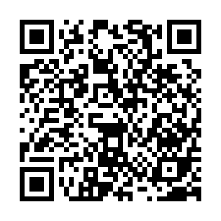 QR code for 63911