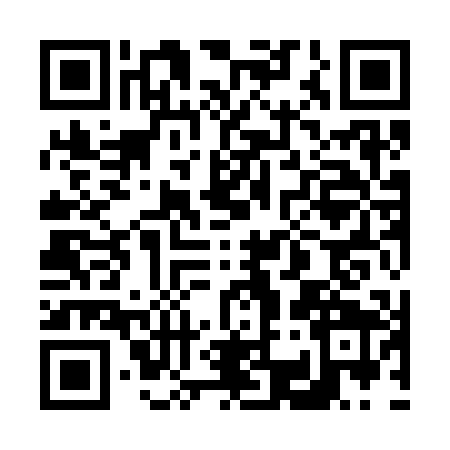 QR code for 6393095