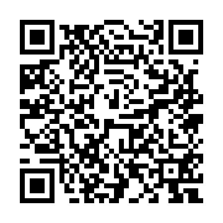 QR code for 6411506