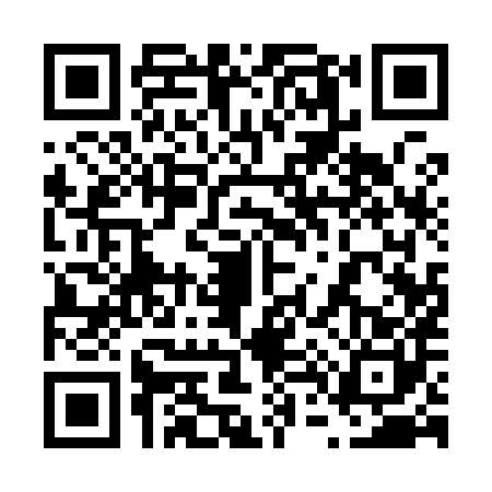 QR code for 6419804