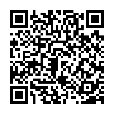 QR code for 6447384