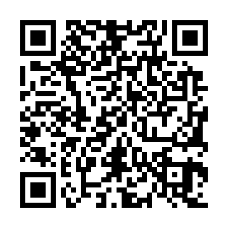 QR code for 6453219