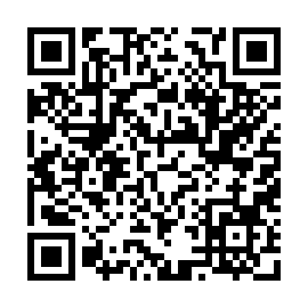 QR code for 64538