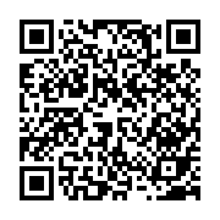 QR code for 64541