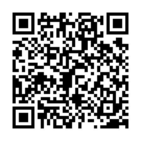QR code for 6456336