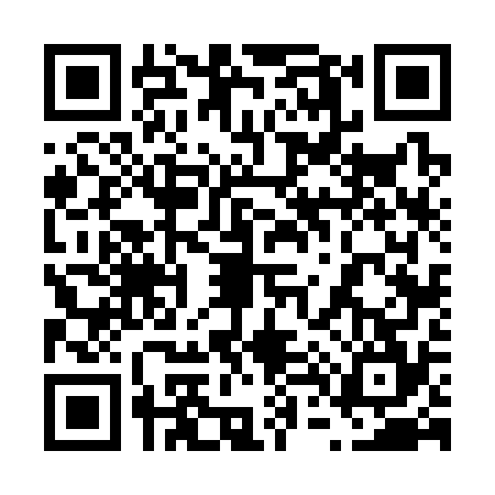 QR code for 6463745