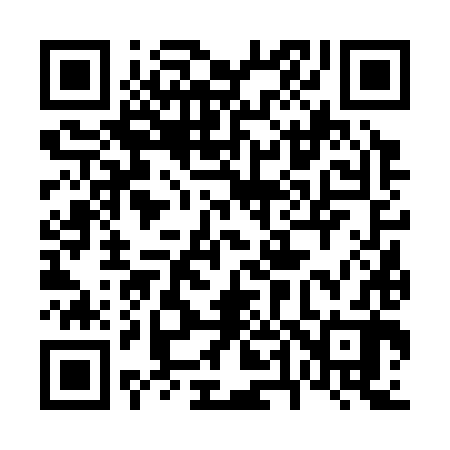 QR code for 646382
