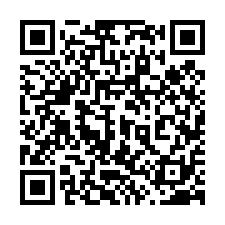 QR code for 646411