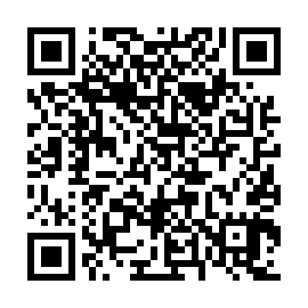 QR code for 646545