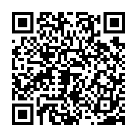 QR code for 6466736