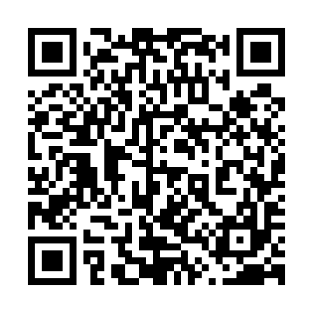 QR code for 647597