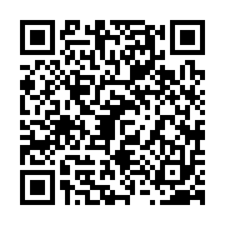 QR code for 6483138