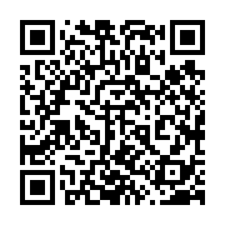 QR code for 648638