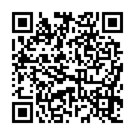 QR code for 6503741