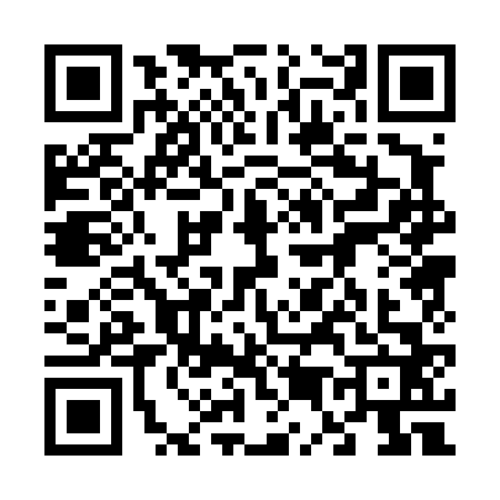 QR code for 6504620
