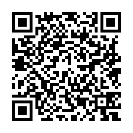 QR code for 6509384