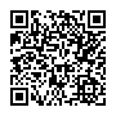 QR code for 65095