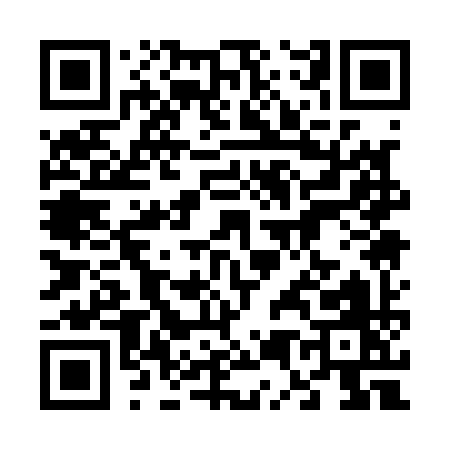 QR code for 65119