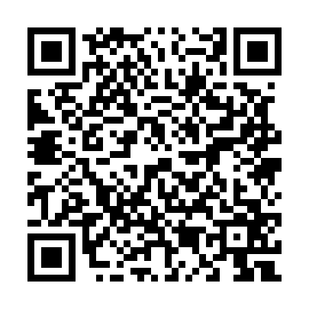QR code for 6515666