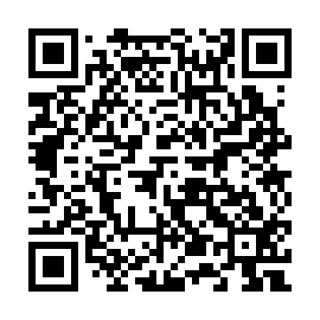 QR code for 653313