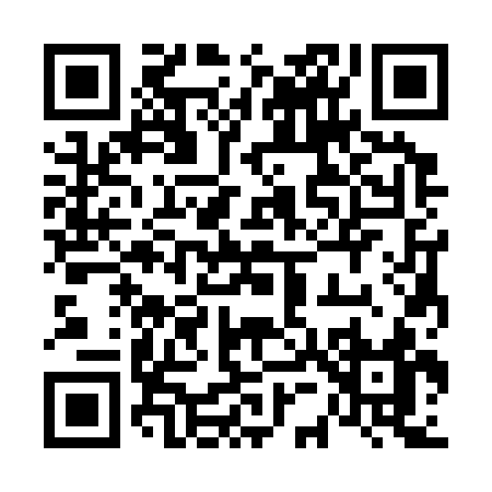 QR code for 65333