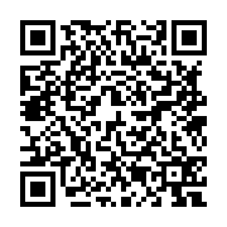 QR code for 6538369