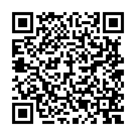 QR code for 6538417