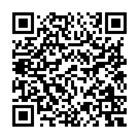 QR code for 65393