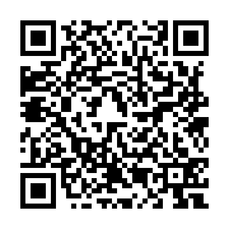 QR code for 6539333