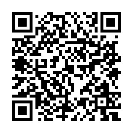 QR code for 65913