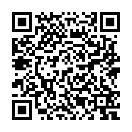 QR code for 6595235