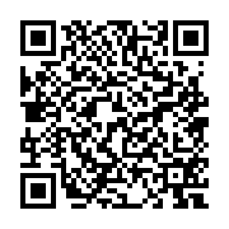 QR code for 6603541