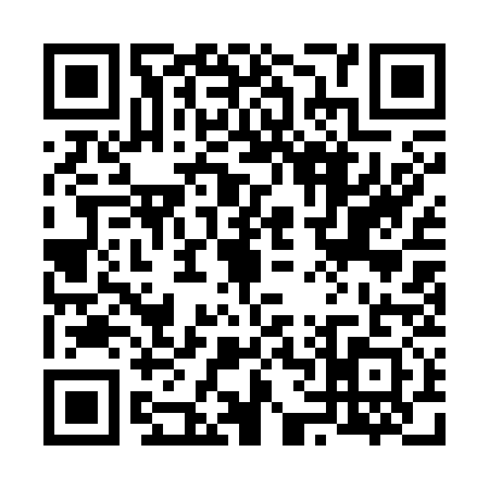 QR code for 6613318