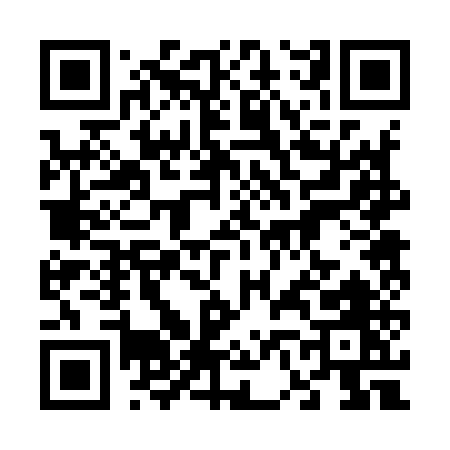 QR code for 66295