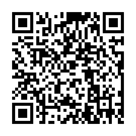 QR code for 66382