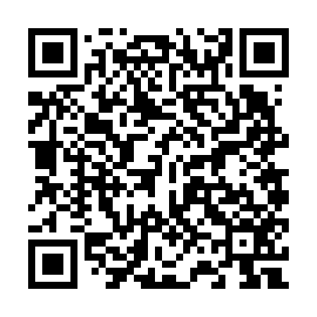 QR code for 666656