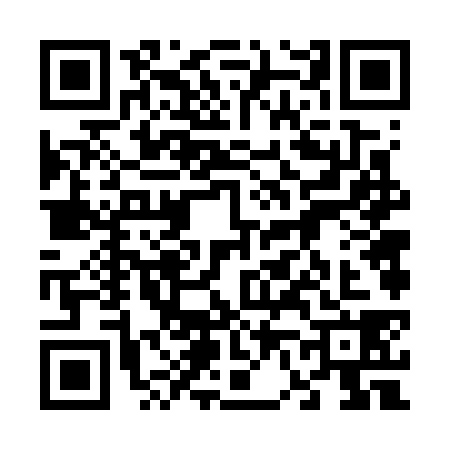 QR code for 6667385