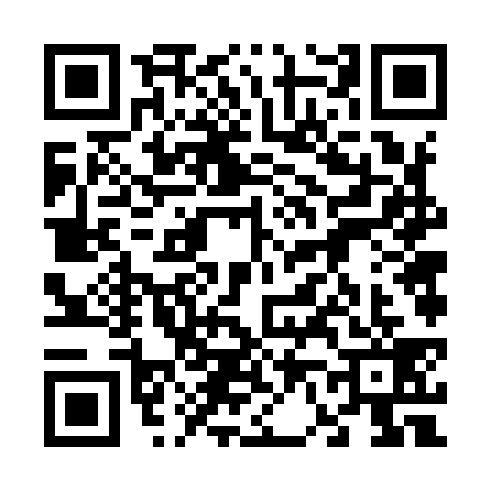 QR code for 6669393