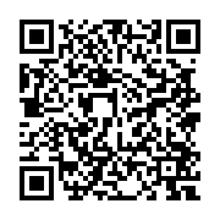 QR code for 6690438