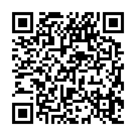 QR code for 67333