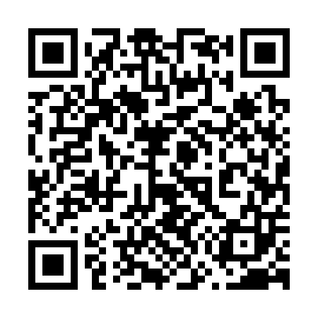 QR code for 675303