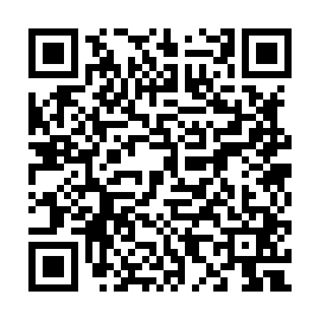 QR code for 6838419