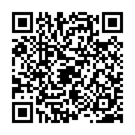 QR code for 6960955