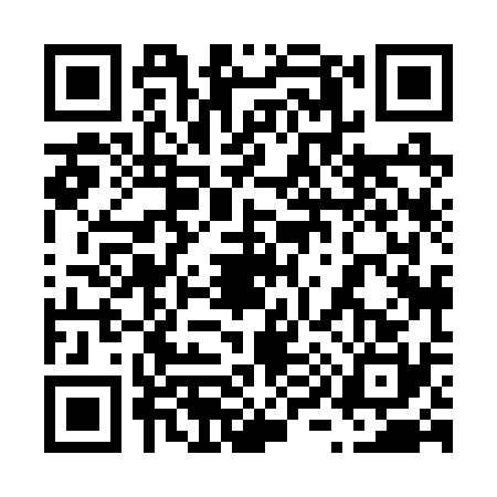 QR code for 6982301