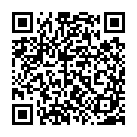 QR code for 699741