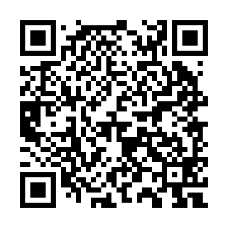 QR code for 700299